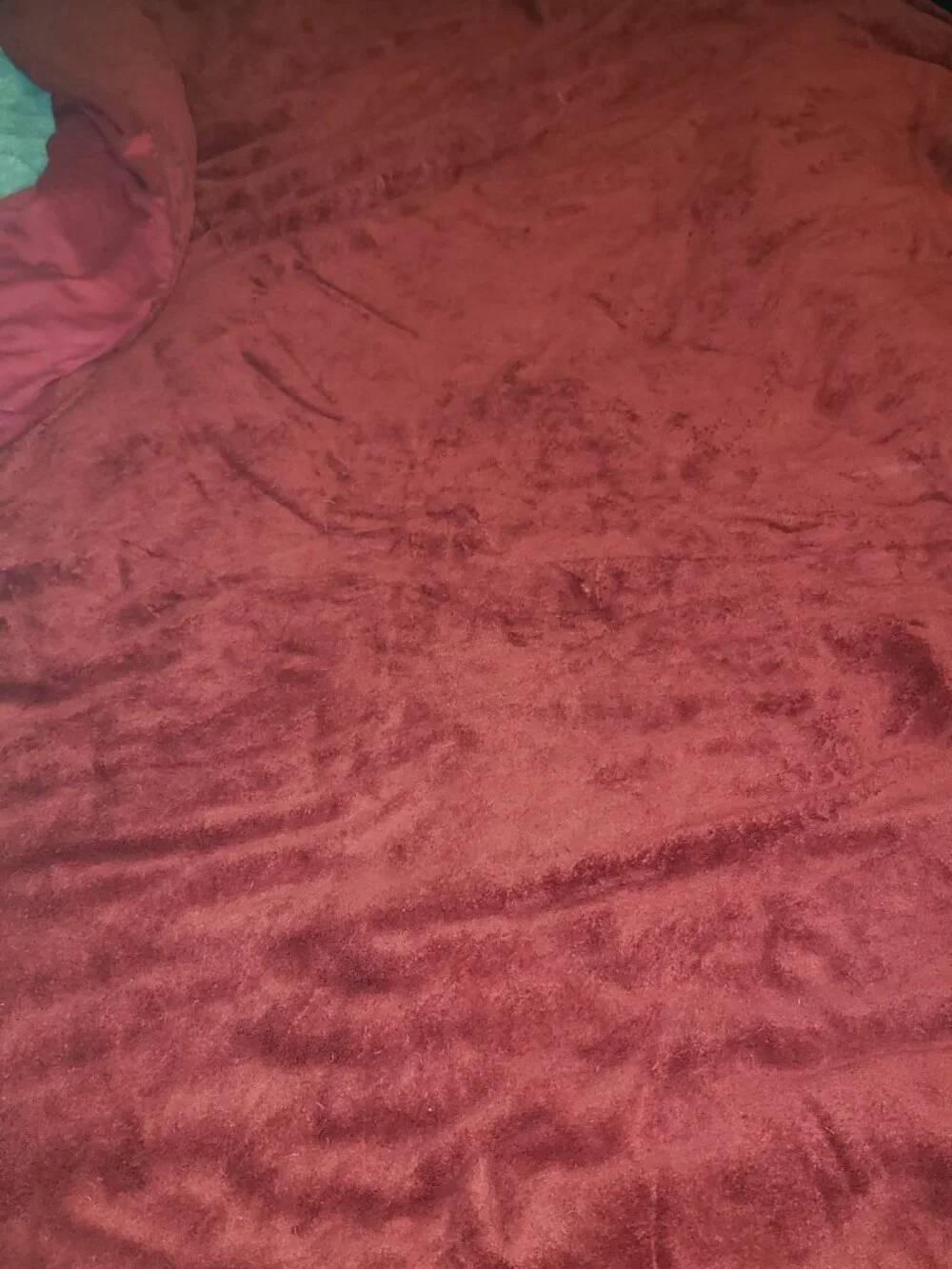 Domestications plush bed set